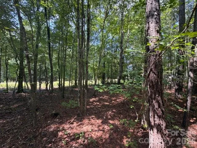 21 AC Sweet Hope Church Road Carlisle, SC 29031