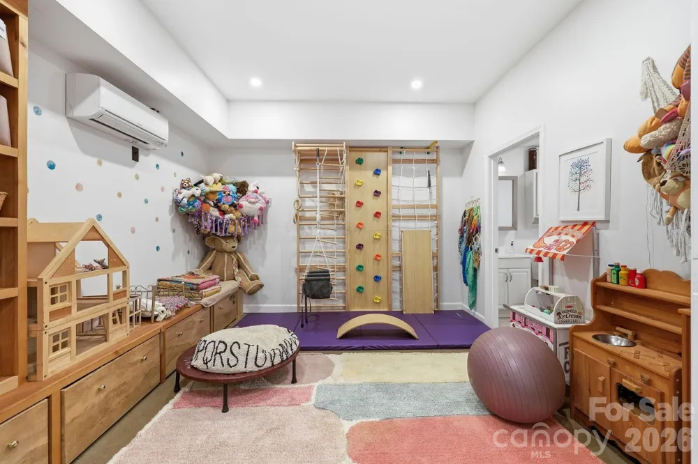 2 Coneflower Court Black Mountain, NC 28711