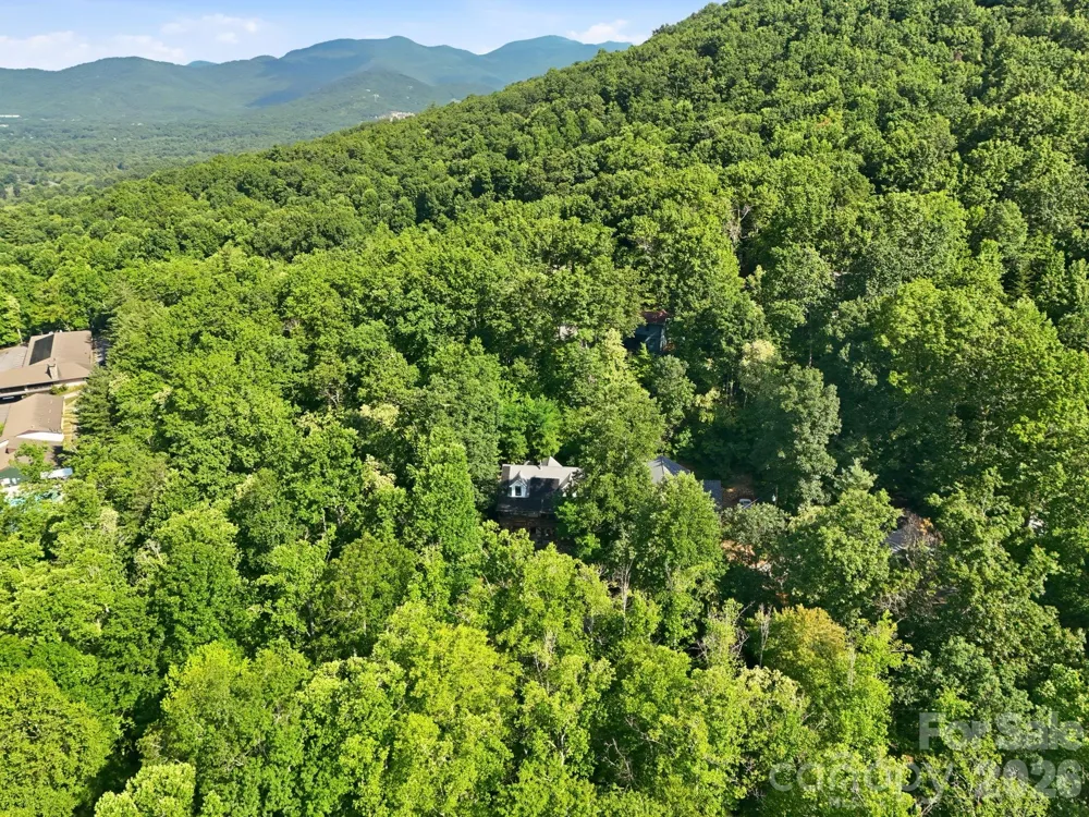 2 Coneflower Court Black Mountain, NC 28711