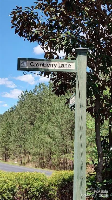 105 Cranberry Lane #80 Mooresboro, NC 28114