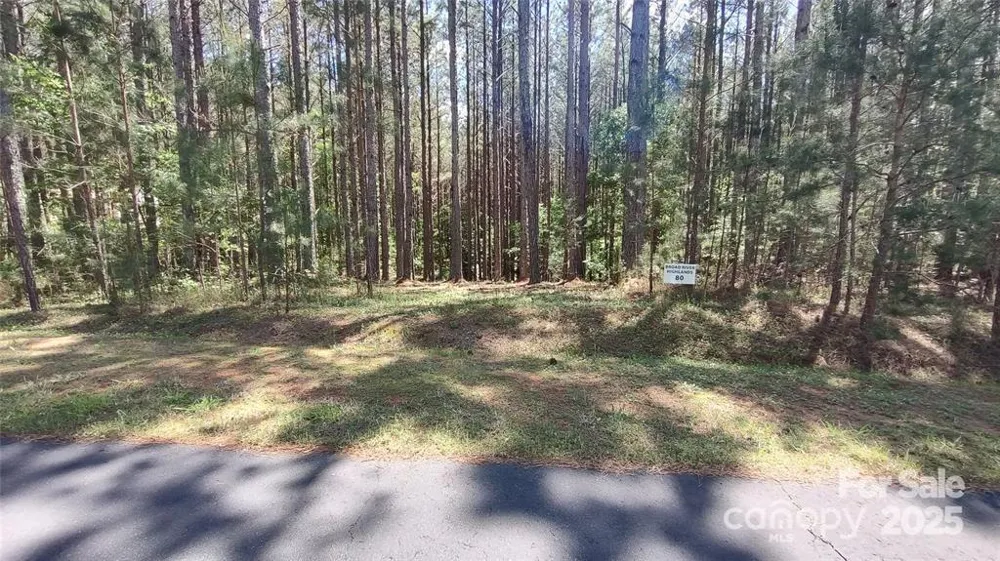105 Cranberry Lane #80 Mooresboro, NC 28114
