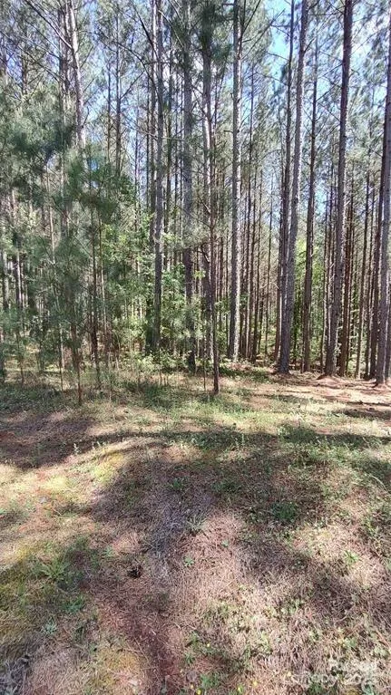 105 Cranberry Lane #80 Mooresboro, NC 28114