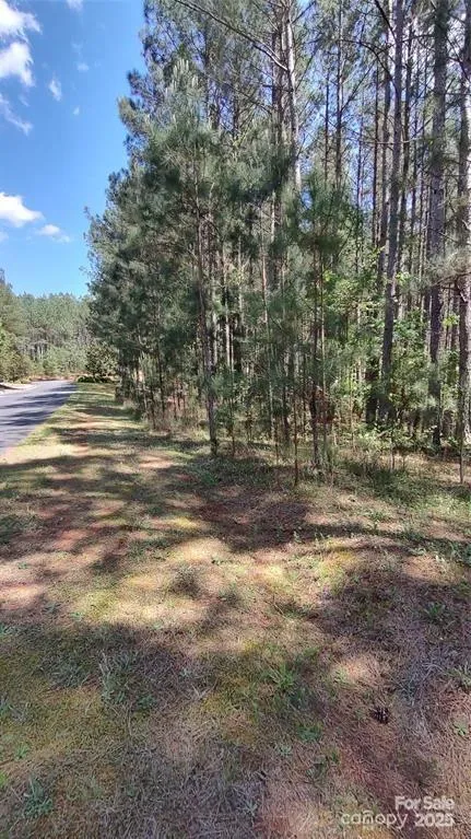 105 Cranberry Lane #80 Mooresboro, NC 28114