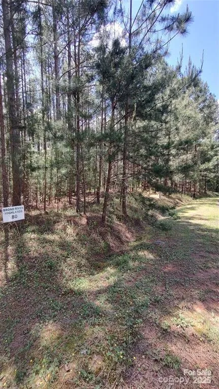 105 Cranberry Lane #80 Mooresboro, NC 28114