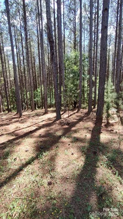 105 Cranberry Lane #80 Mooresboro, NC 28114