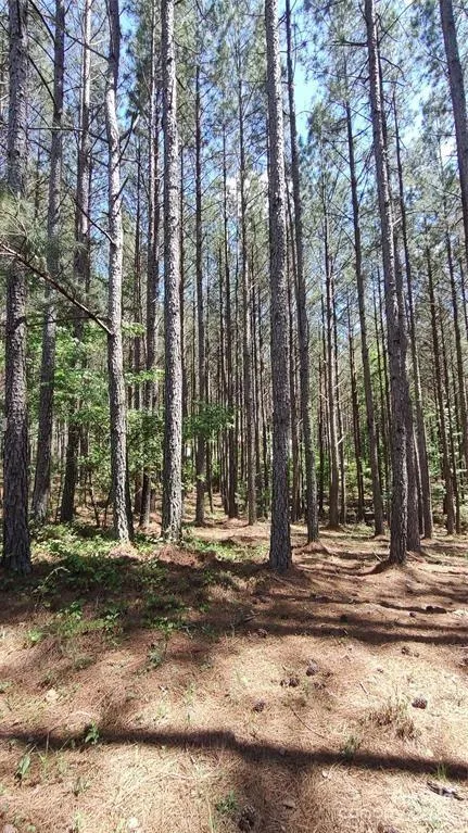 105 Cranberry Lane #80 Mooresboro, NC 28114