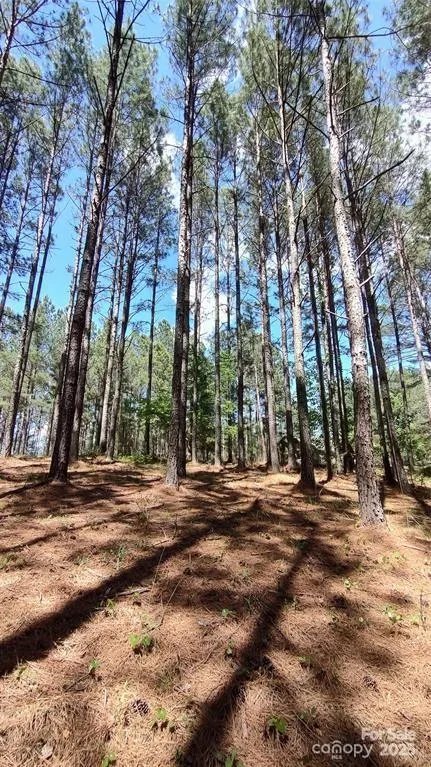 105 Cranberry Lane #80 Mooresboro, NC 28114