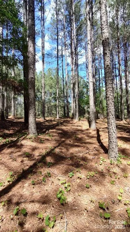 105 Cranberry Lane #80 Mooresboro, NC 28114