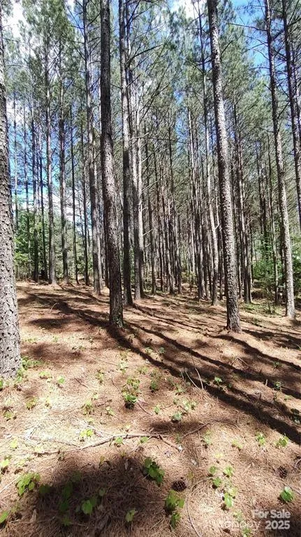 105 Cranberry Lane #80 Mooresboro, NC 28114