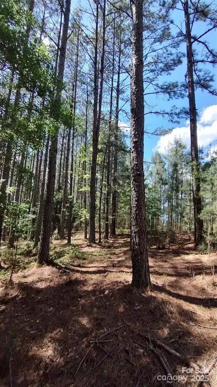105 Cranberry Lane #80 Mooresboro, NC 28114