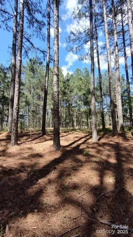 105 Cranberry Lane #80 Mooresboro, NC 28114
