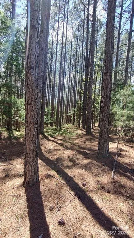 105 Cranberry Lane #80 Mooresboro, NC 28114
