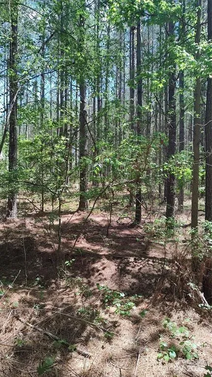 105 Cranberry Lane #80 Mooresboro, NC 28114