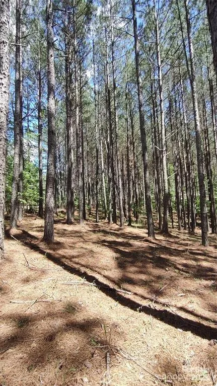 105 Cranberry Lane #80 Mooresboro, NC 28114