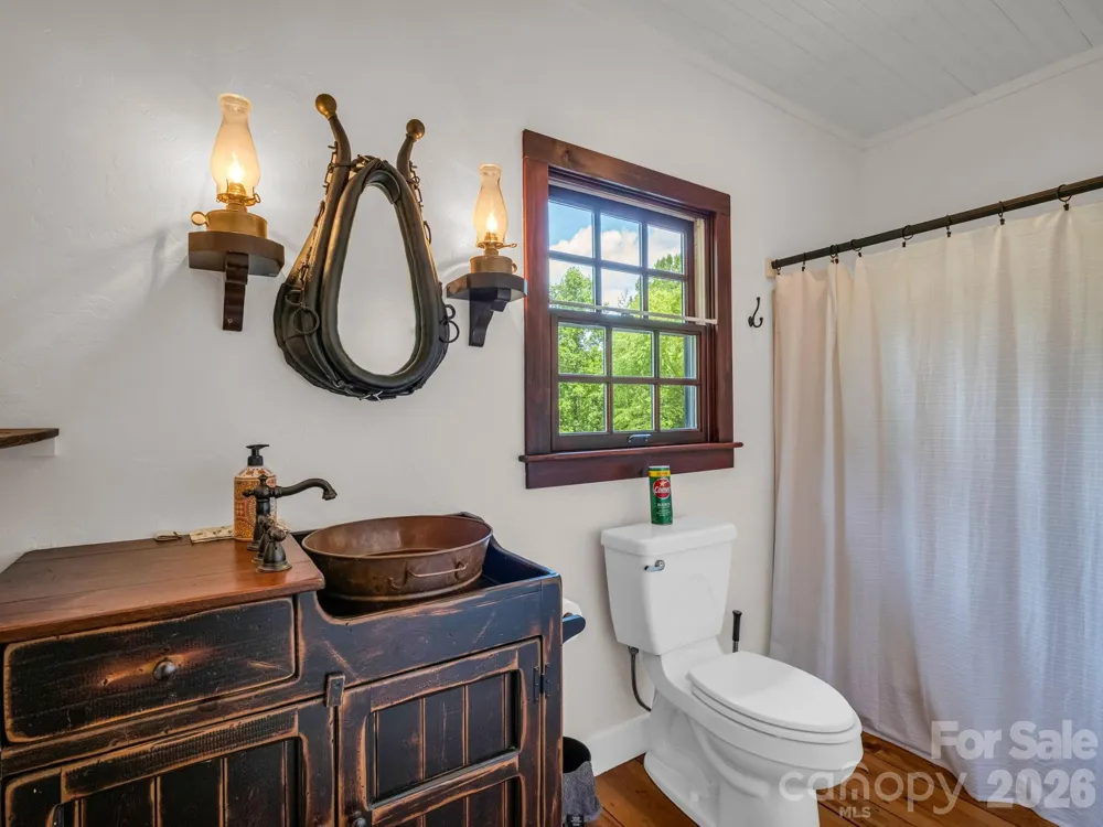 115 Apple Meadow Court Lake Lure, NC 28746