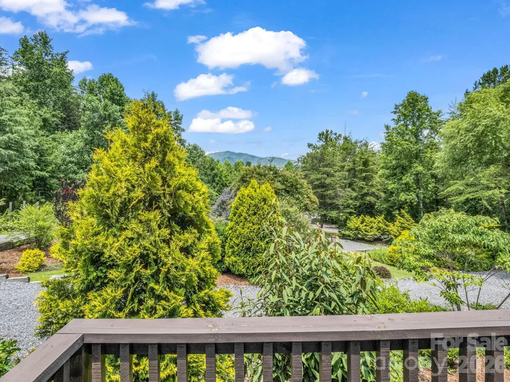 115 Apple Meadow Court Lake Lure, NC 28746