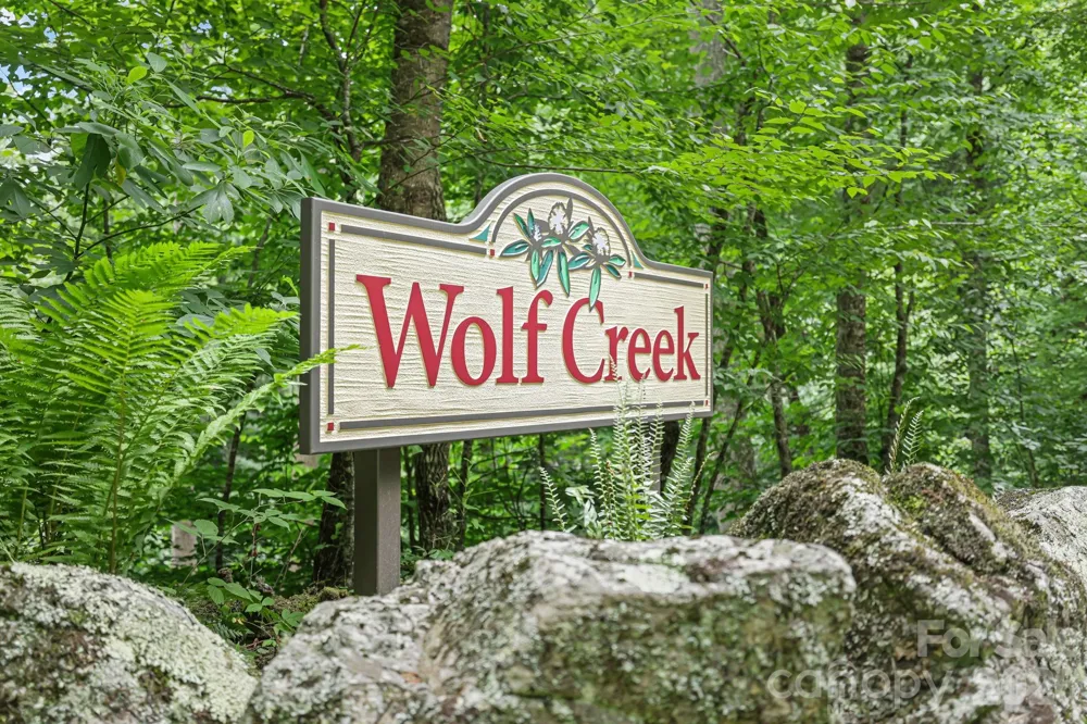 337 Leatherbreeches Drive Tuckasegee, NC 28783