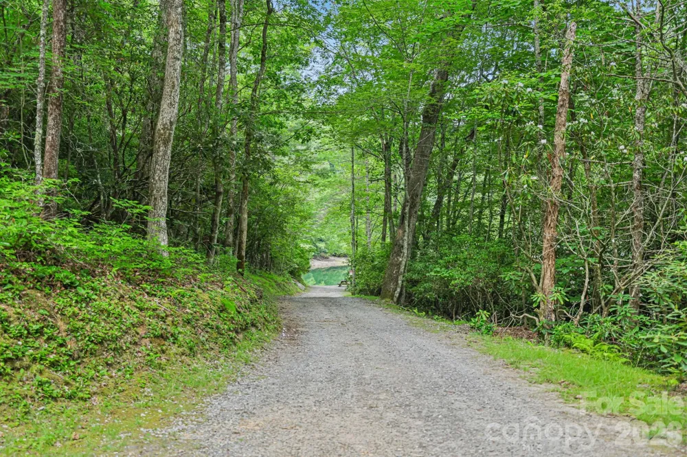 337 Leatherbreeches Drive Tuckasegee, NC 28783