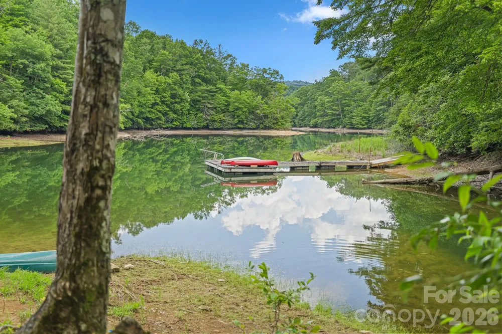337 Leatherbreeches Drive Tuckasegee, NC 28783