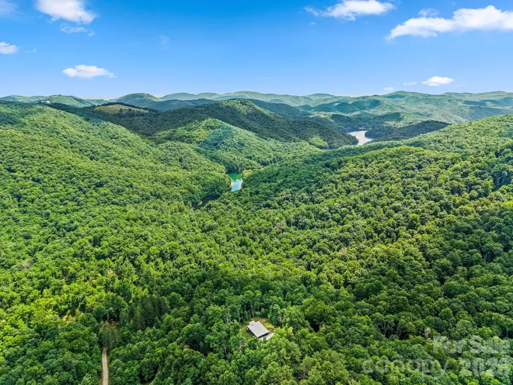 337 Leatherbreeches Drive Tuckasegee, NC 28783