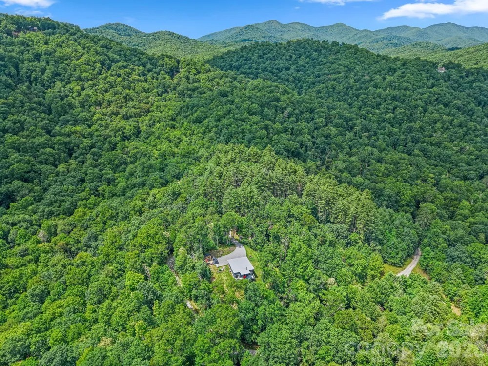 337 Leatherbreeches Drive Tuckasegee, NC 28783