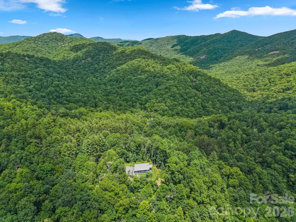 337 Leatherbreeches Drive Tuckasegee, NC 28783