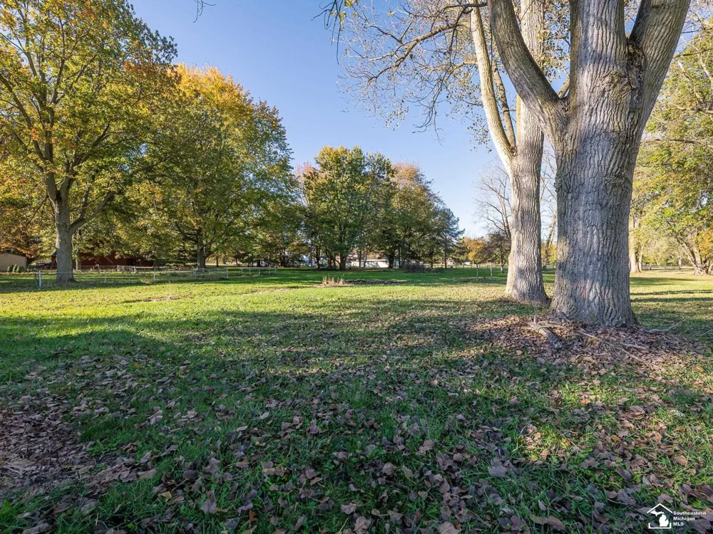 10711 Douglas Road Bedford Township, MI 48182