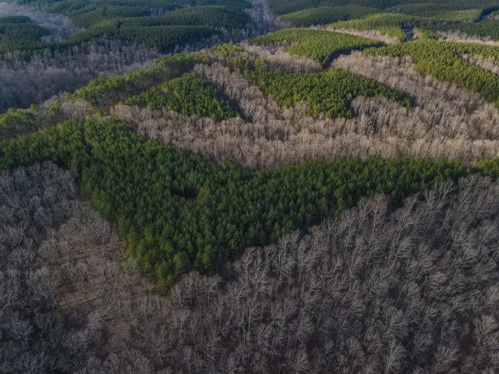 0 Brush Creek Rd Hohenwald, TN 38462