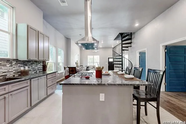 305 SPRUCE ST San Antonio, TX 78203