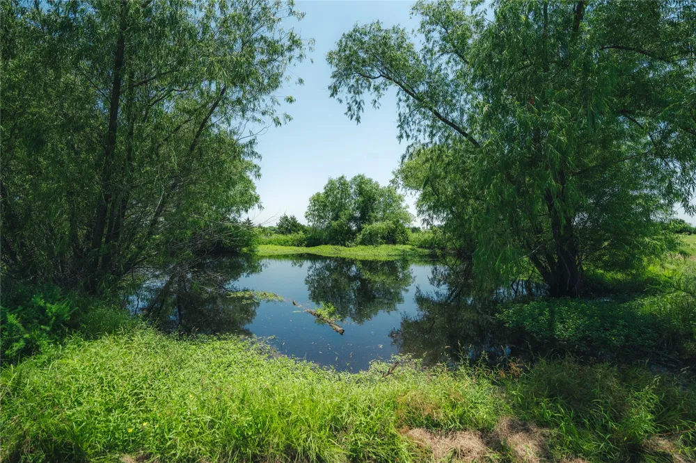 20548 Fm 901 Road Gordonville, TX 76245