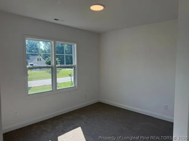 199 Waters Edge Drive Erwin, NC 28339