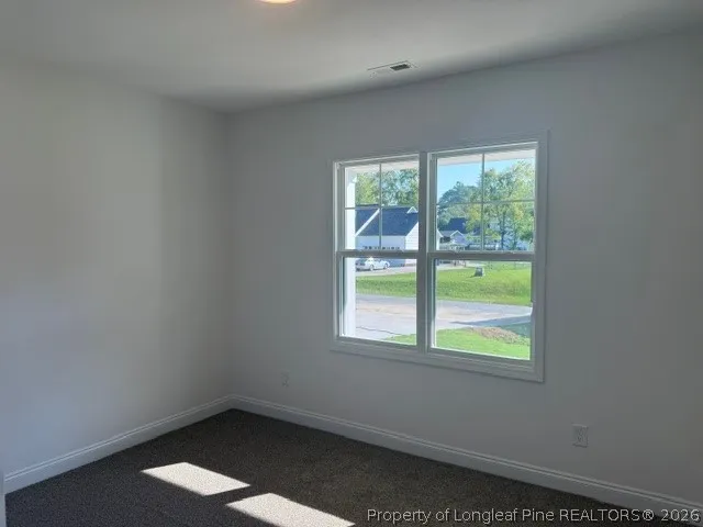 199 Waters Edge Drive Erwin, NC 28339
