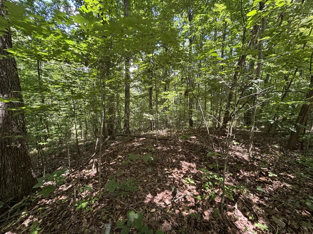 Sussex Road Dayton, TN 37321