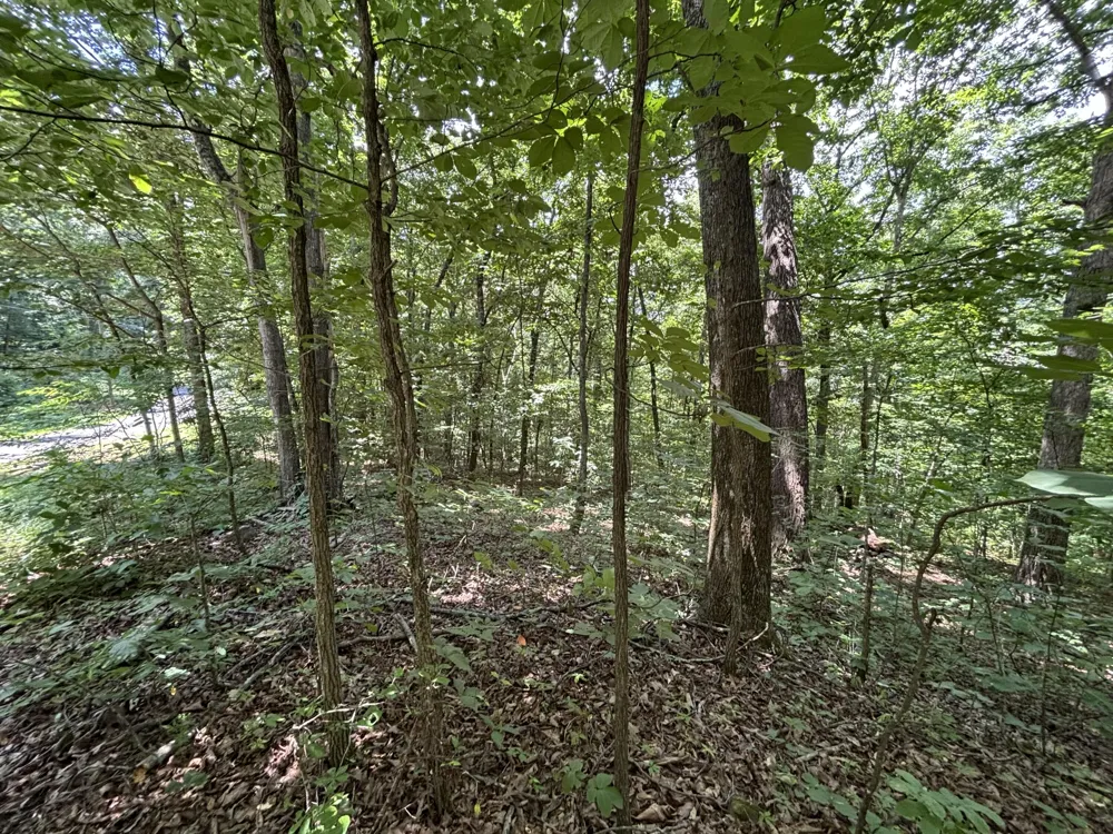 Sussex Road Dayton, TN 37321