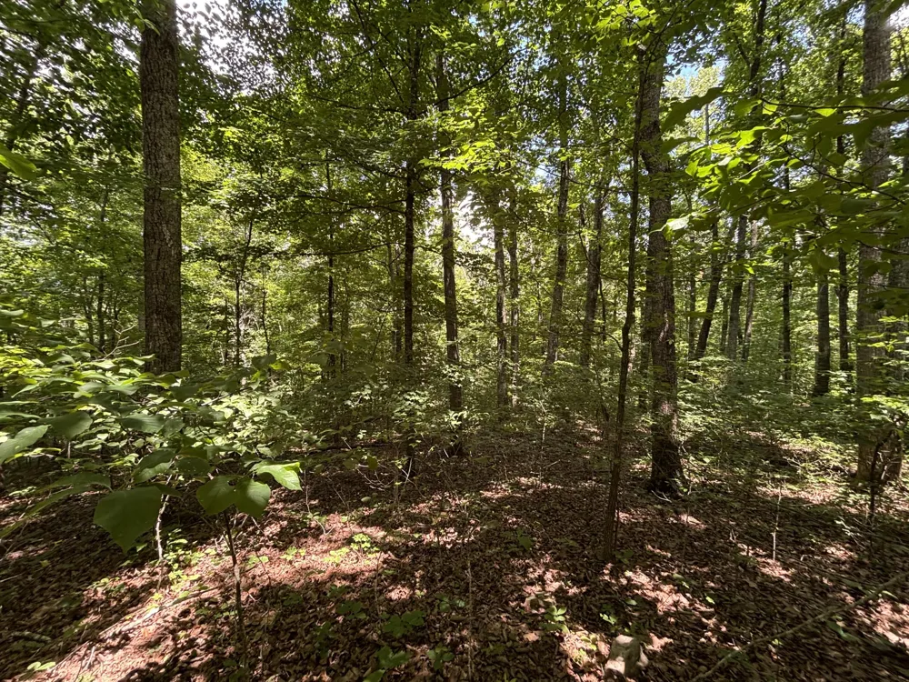 Sussex Road Dayton, TN 37321