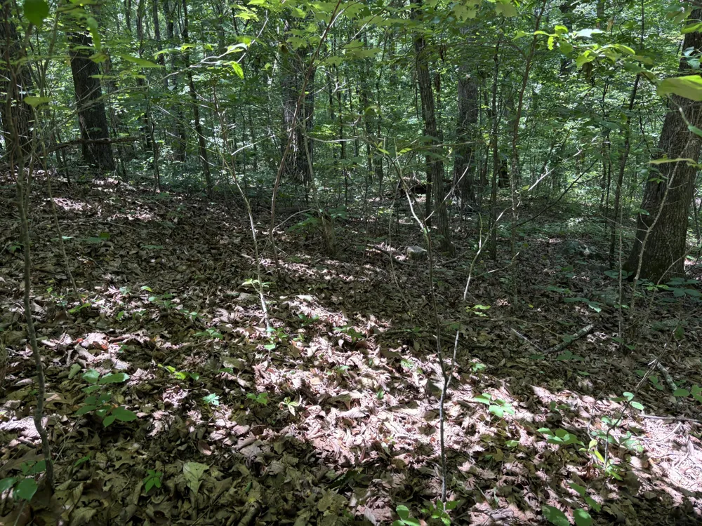 Sussex Road Dayton, TN 37321