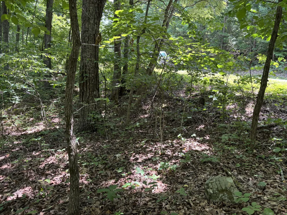 Sussex Road Dayton, TN 37321