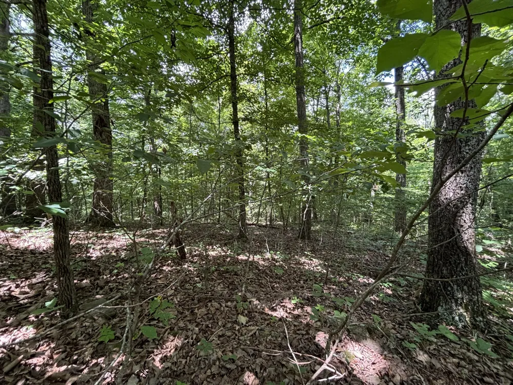 Sussex Road Dayton, TN 37321