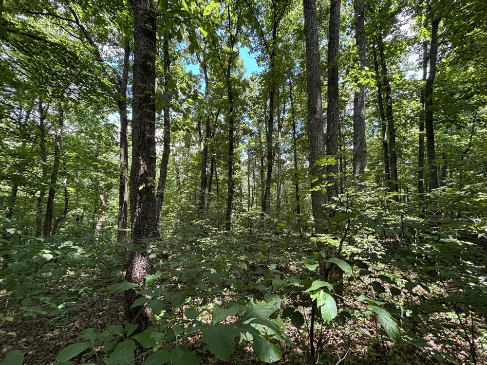 Sussex Road Dayton, TN 37321