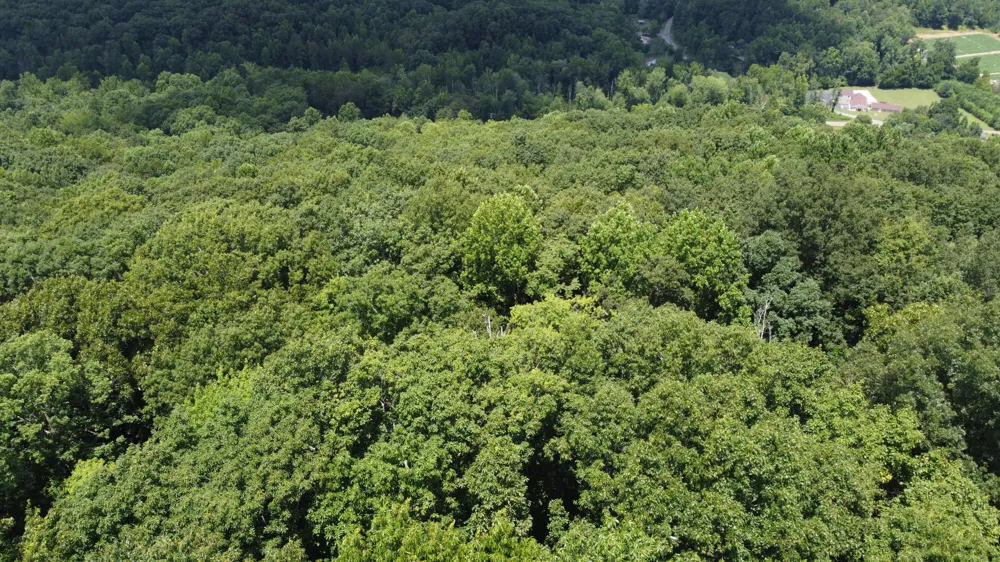 Sussex Road Dayton, TN 37321