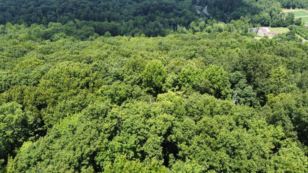 Sussex Road Dayton, TN 37321