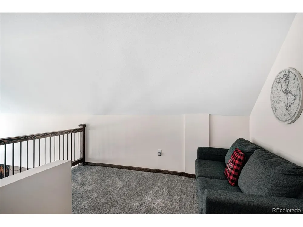 2755 Redhill Road Fairplay, CO 80440
