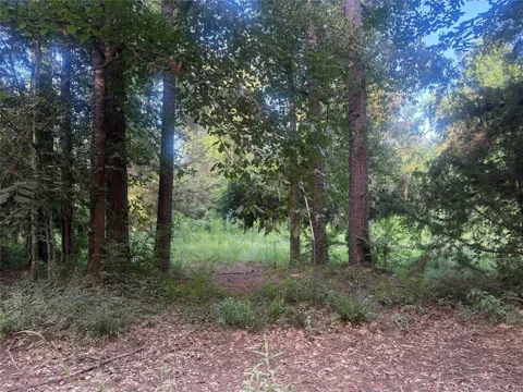 23881 Simpson Lane