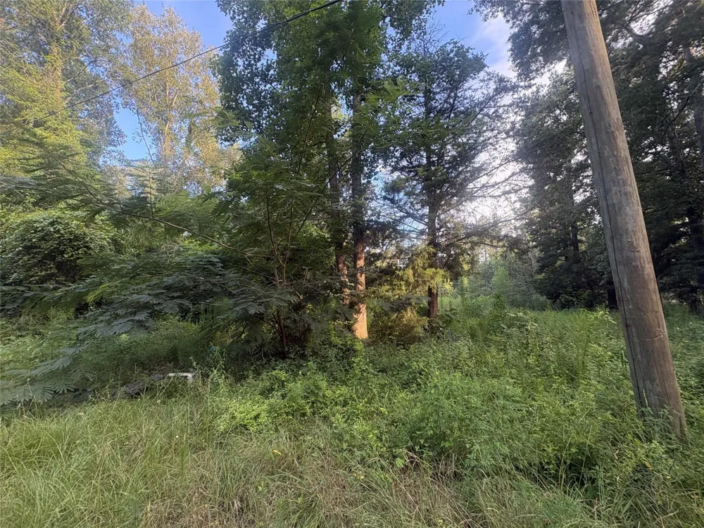 23881 Simpson Lane Votaw, TX 77585