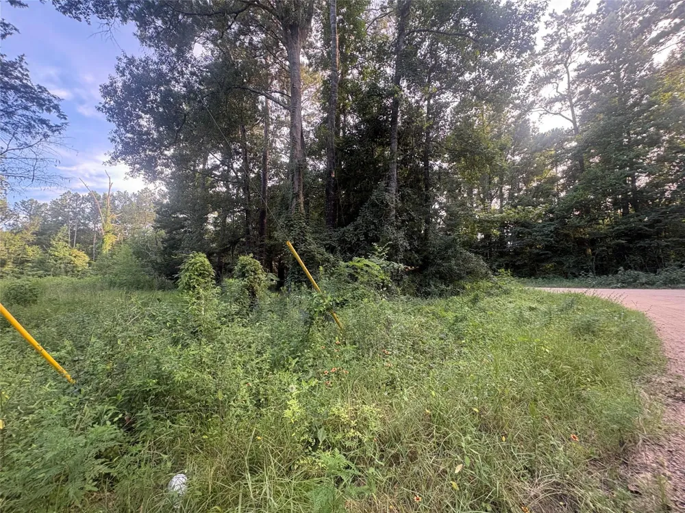 23881 Simpson Lane Votaw, TX 77585