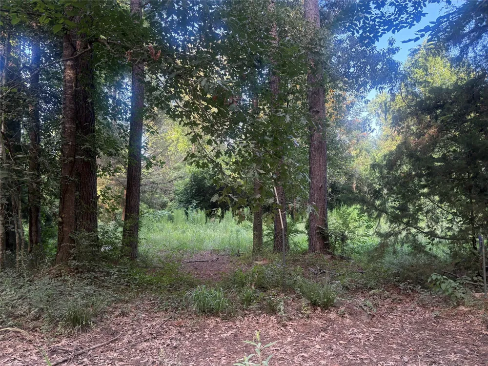 23881 Simpson Lane Votaw, TX 77585