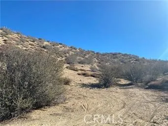 Dry Creek Road Pinon Hills, CA 92372