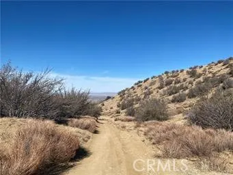 Dry Creek Road Pinon Hills, CA 92372