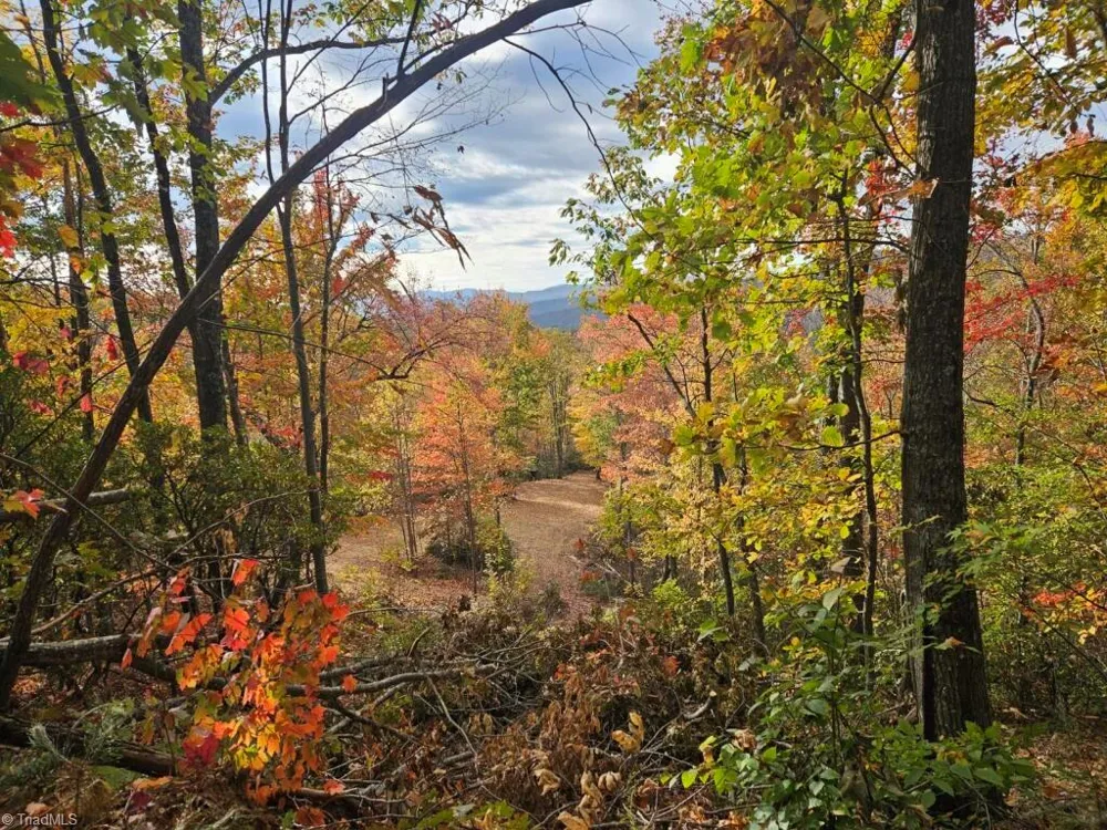 0 Shell Creek Road Ferguson, NC 28624