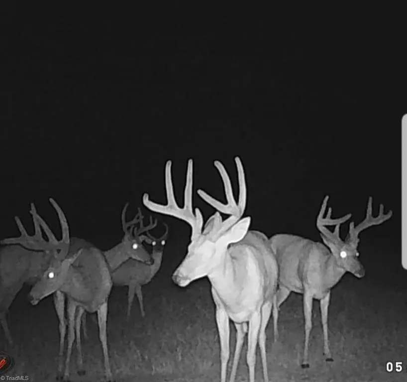 0 Shell Creek Road Ferguson, NC 28624